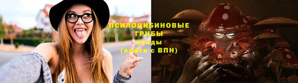 прущие крисы Верхний Тагил